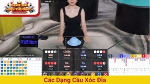 các dạng cầu Xóc Đĩa