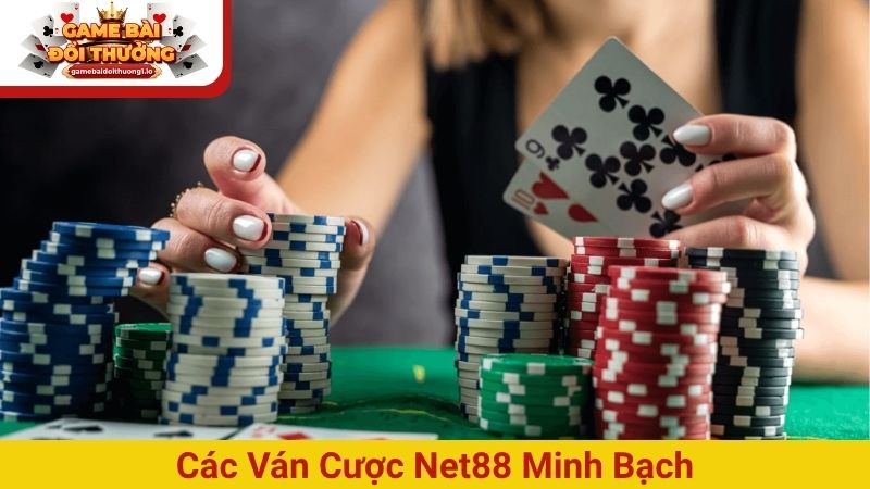 Các ván cược Net88 minh bạch