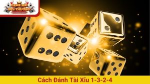 Cách đánh Tài Xỉu 1-3-2-4